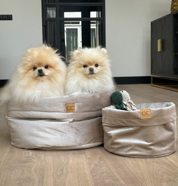 Hondenmand set champagne speelgoedmand voor honden