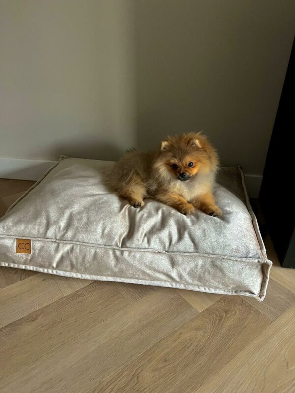 Luxe velvet honden ligkussen champagnekleur