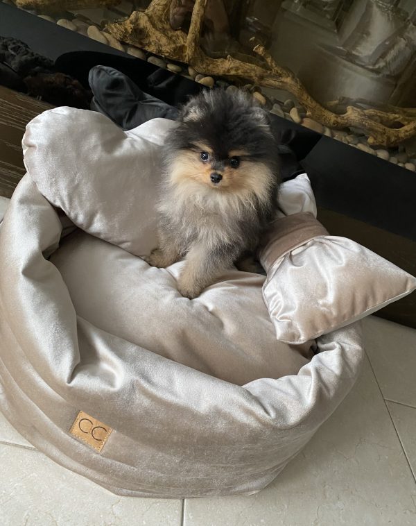 Luxe velvet hondenmand set champagne sierkussens