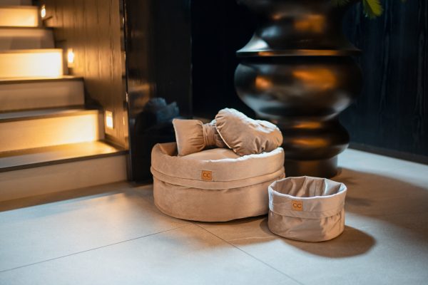 Luxe velvet hondenmand set champagne speelgoedmand sierkussens
