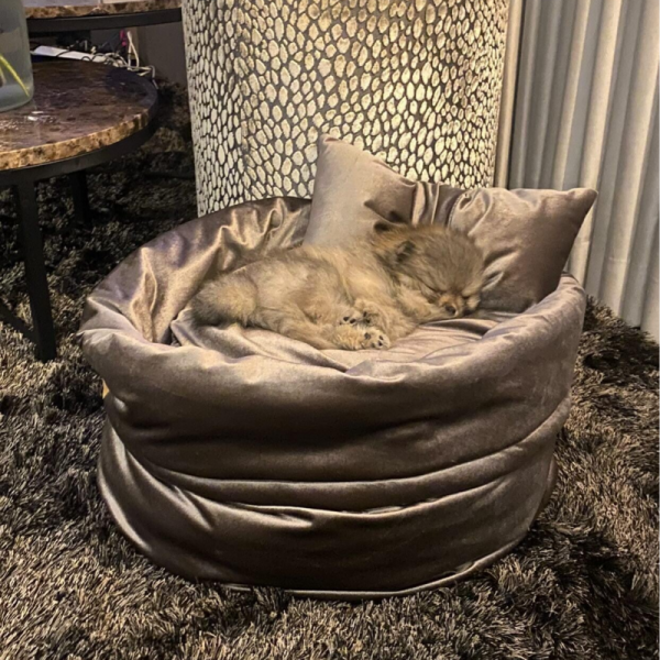 Luxe velvet hondenmand puppy taupe